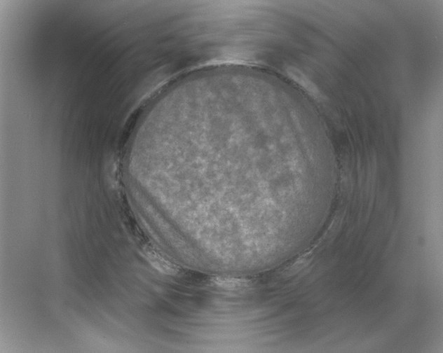 X0000068721258200605121443