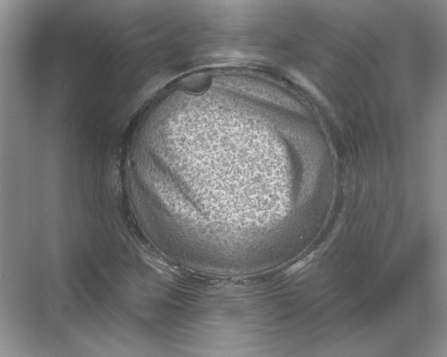 X0000068721259200605121443