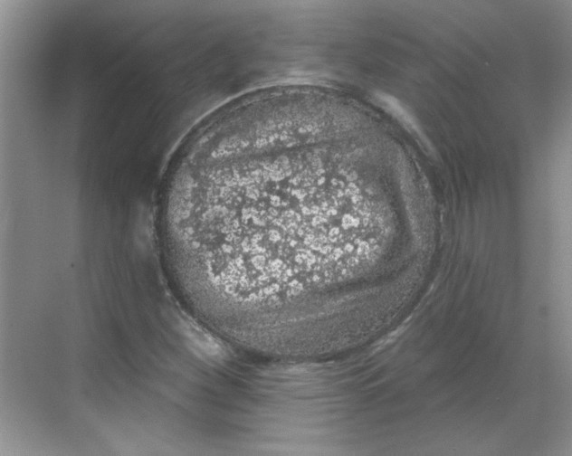 X0000068721260200605121443