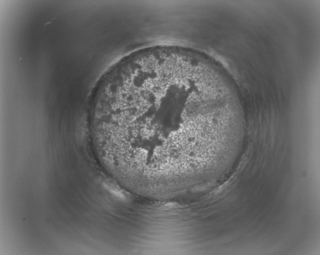 X0000068721263200605121443