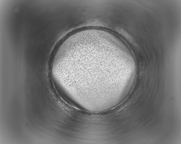 X0000068721264200605121443