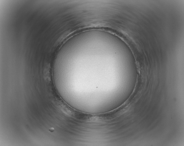 X0000068721265200605121443