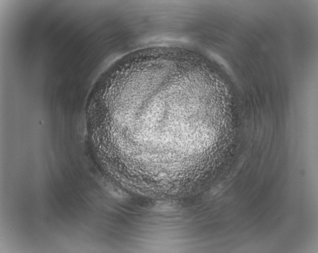 X0000068721267200605121443