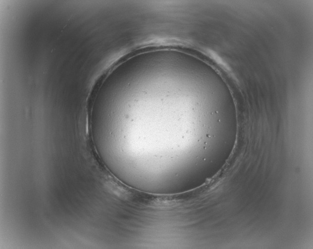 X0000068721269200605121443