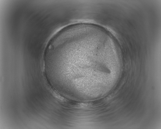 X0000068721271200605121443