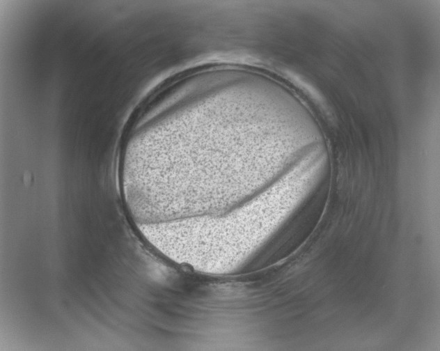 X0000068721272200605121443