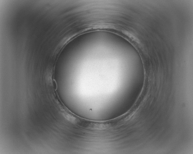 X0000068721273200605121443