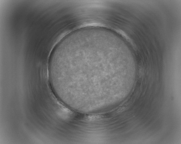 X0000068721274200605121443