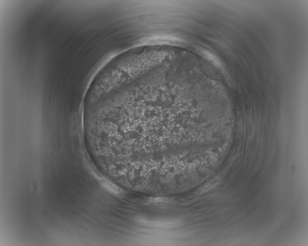 X0000068721275200605121443