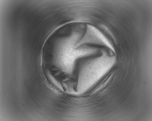 X0000068721276200605121443