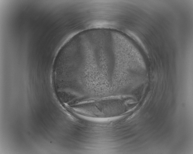 X0000068721277200605121443