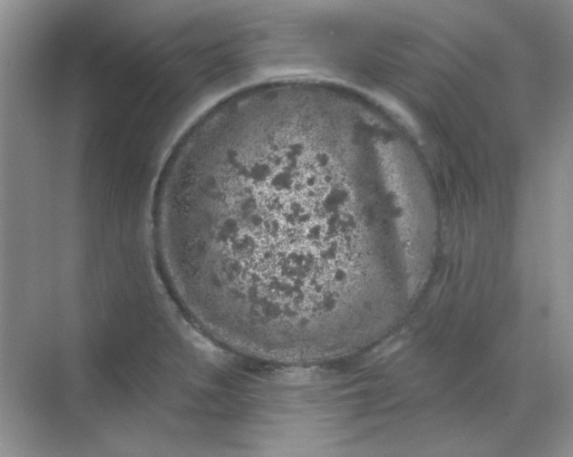 X0000068721279200605121442