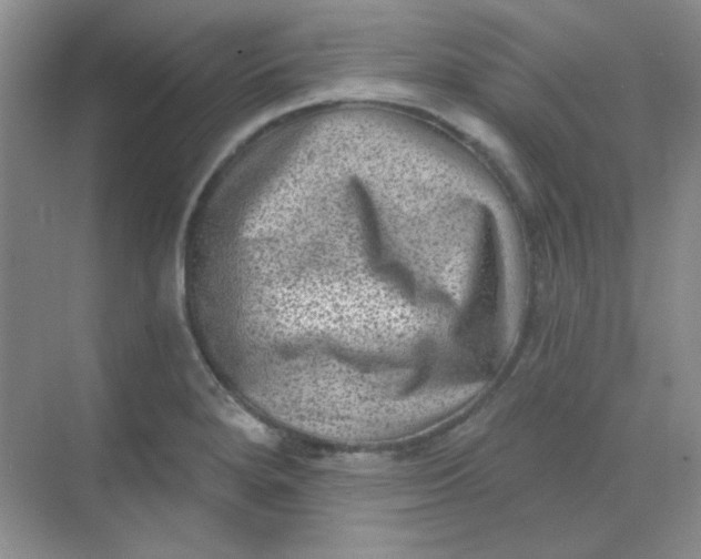 X0000068721280200605121442