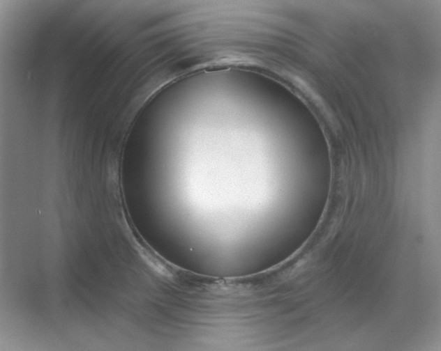 X0000068721281200605121442