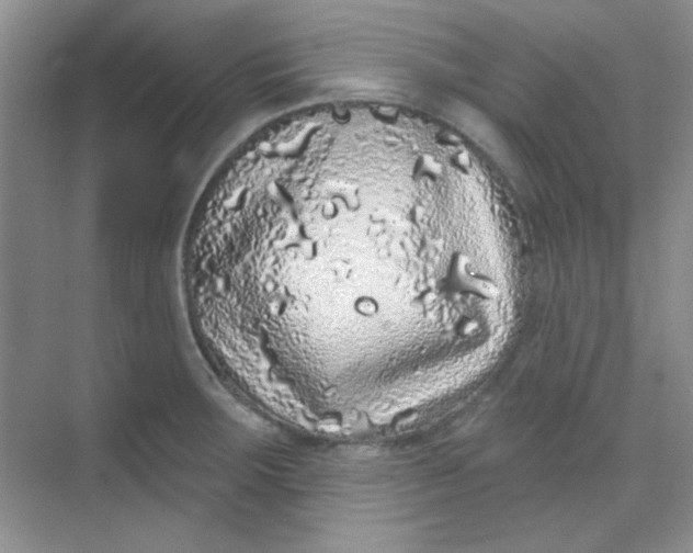 X0000068721283200605121442