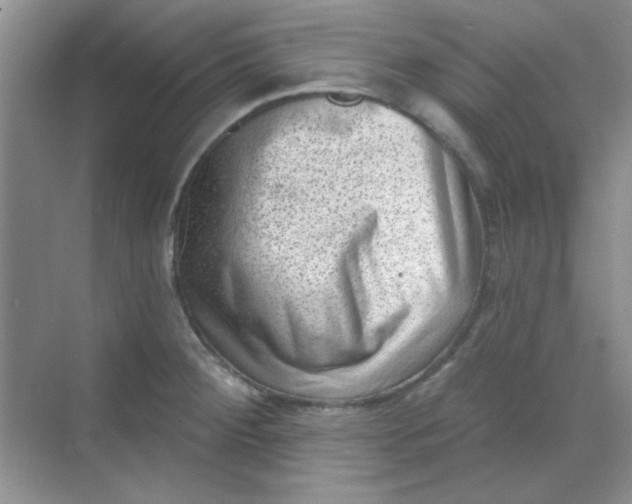 X0000068721284200605121442