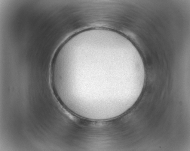 X0000068721286200605121442