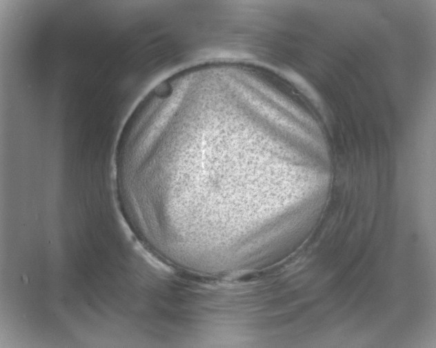 X0000068721287200605121442