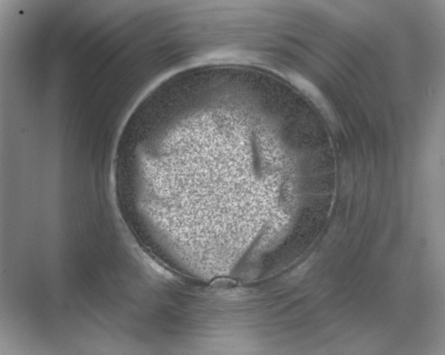 X0000068721288200605121442