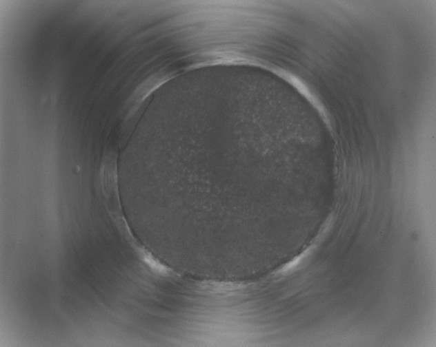 X0000068721289200605121442