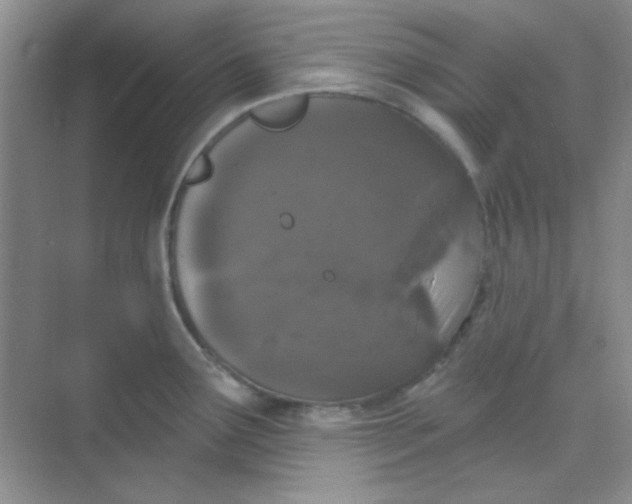 X0000068721291200605121442