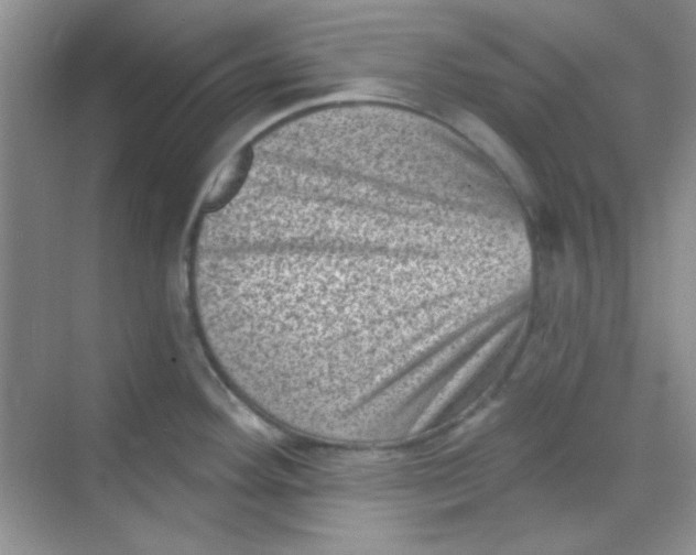 X0000068721292200605121442