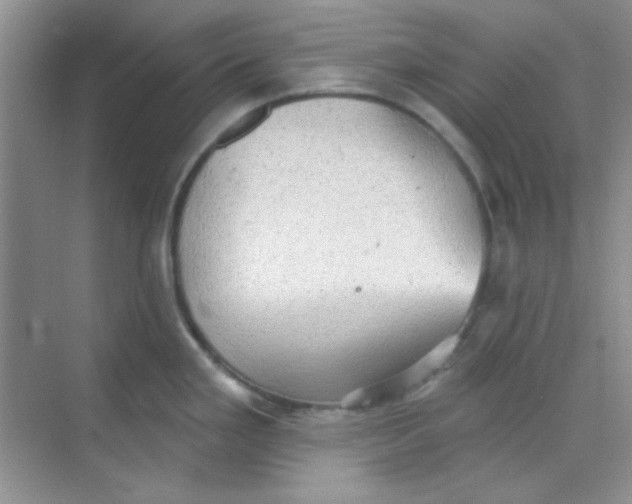 X0000068721293200605121442