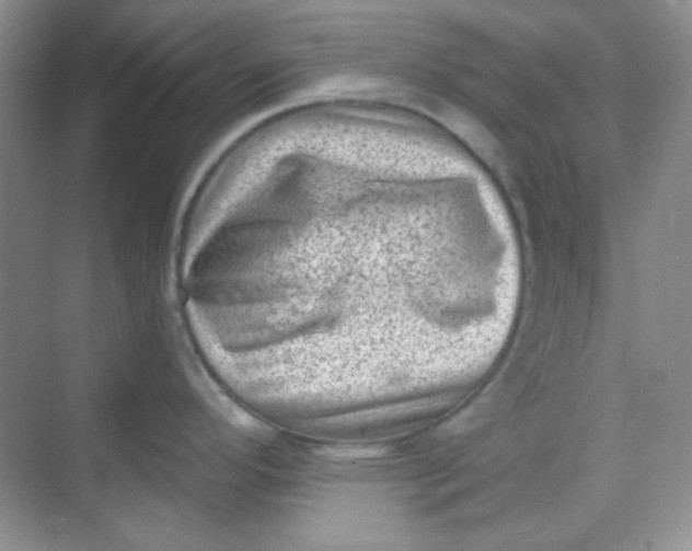 X0000068721296200605121442