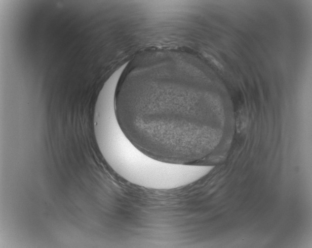 X0000068721298200605121441