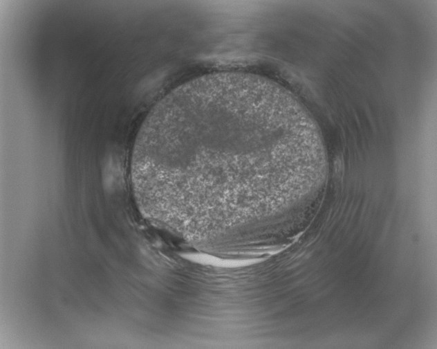 X0000068721300200605121441