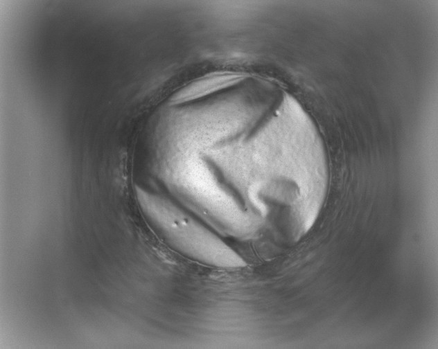 X0000068721301200605121441