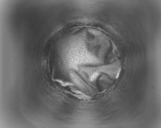 X0000068721302200605121441