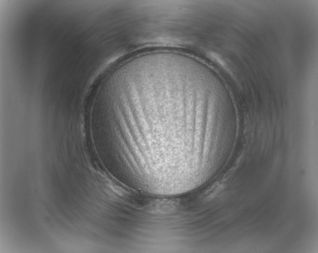 X0000068721307200605121442