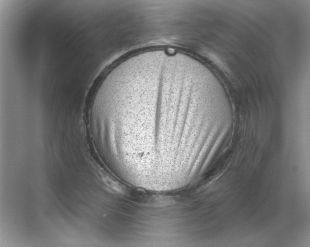 X0000068721308200605121442