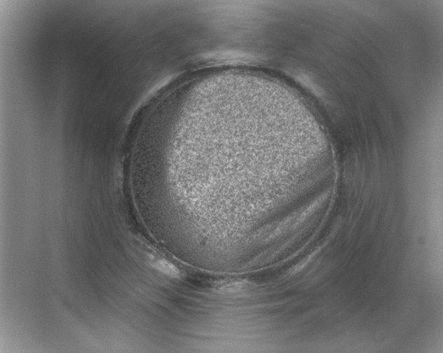 X0000068721309200605121442