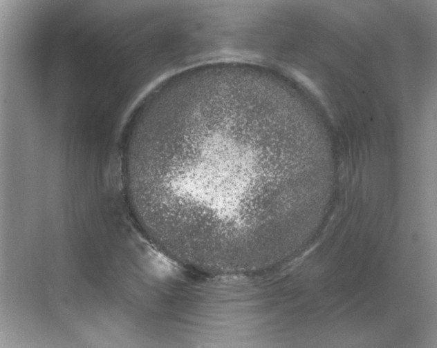 X0000068721310200605121442