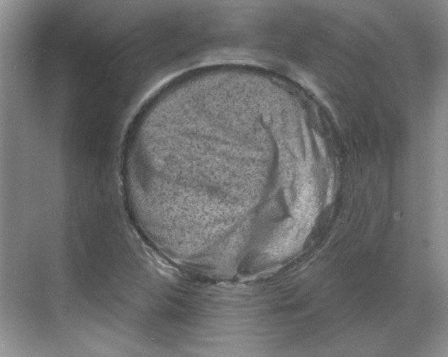 X0000068721312200605121442