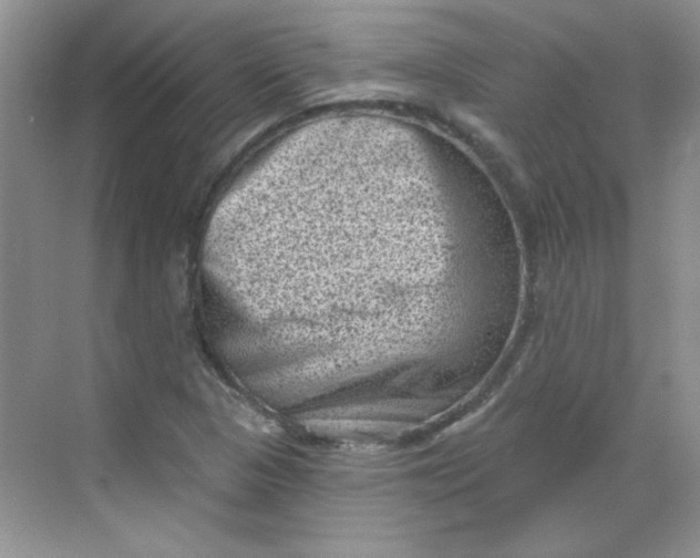 X0000068721313200605121442