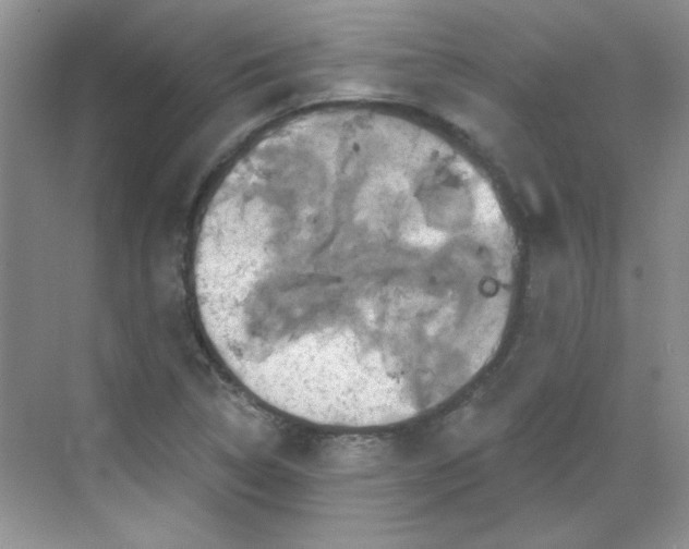 X0000068721314200605121442