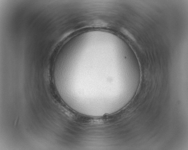 X0000068721315200605121442