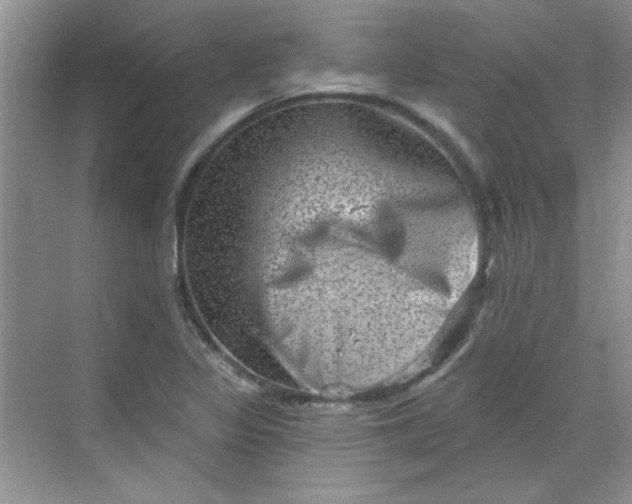 X0000068721317200605121442