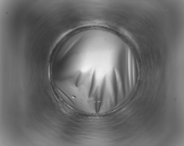 X0000068721320200605121442