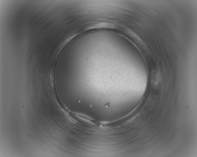 X0000068721321200605121442