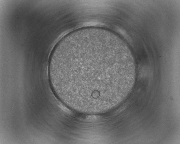 X0000068721322200605121442