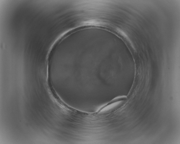 X0000068721323200605121442