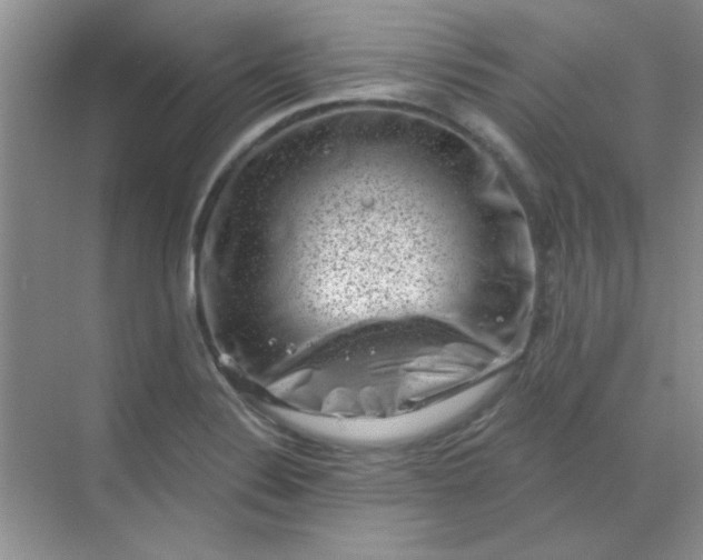 X0000068721324200605121442