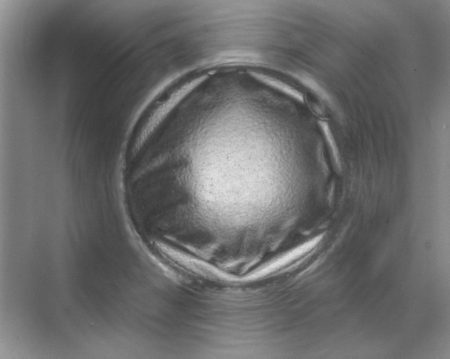 X0000068721325200605121442