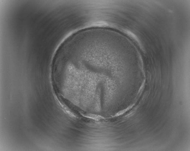 X0000068721326200605121442