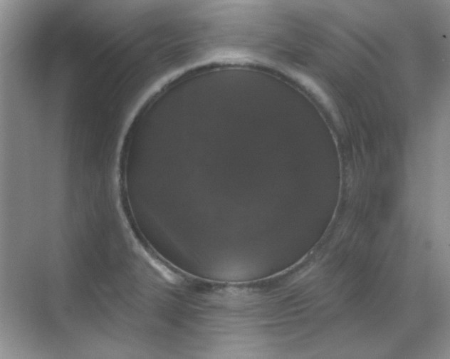 X0000068721327200605121442