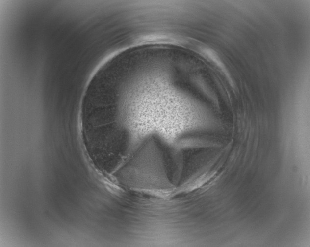 X0000068721328200605121442